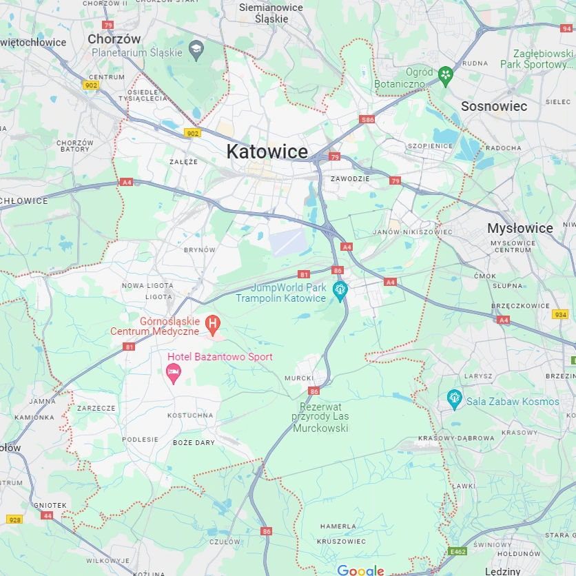 Cyklinowanie Podlog w Katowice
